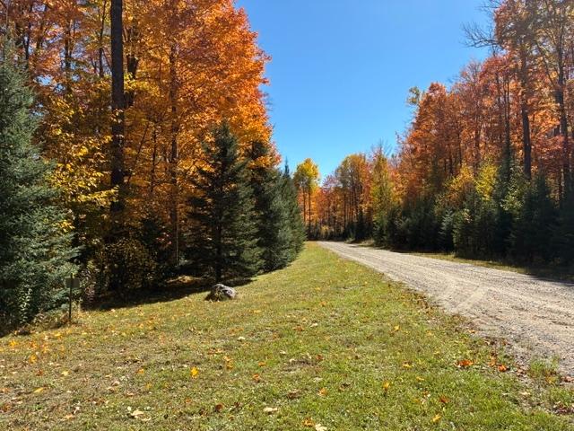 11826 Renberg Road Long Lake, WI 54542 - Photo 20 of 23 Gallery Image 20