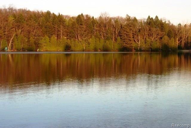 2274 Addaleen Road Highland, MI 48357 - Photo 9 of 43 Dunham Lake (4).JPG