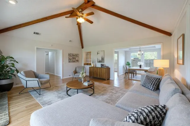a living room with furniture or couch and a potted plant