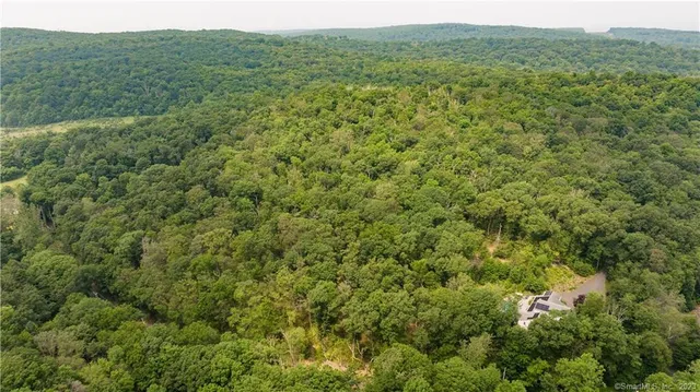 a view of a lush green forest with trees and some houses
