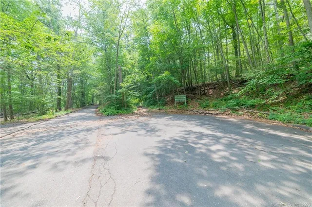 a view of a forest with trees