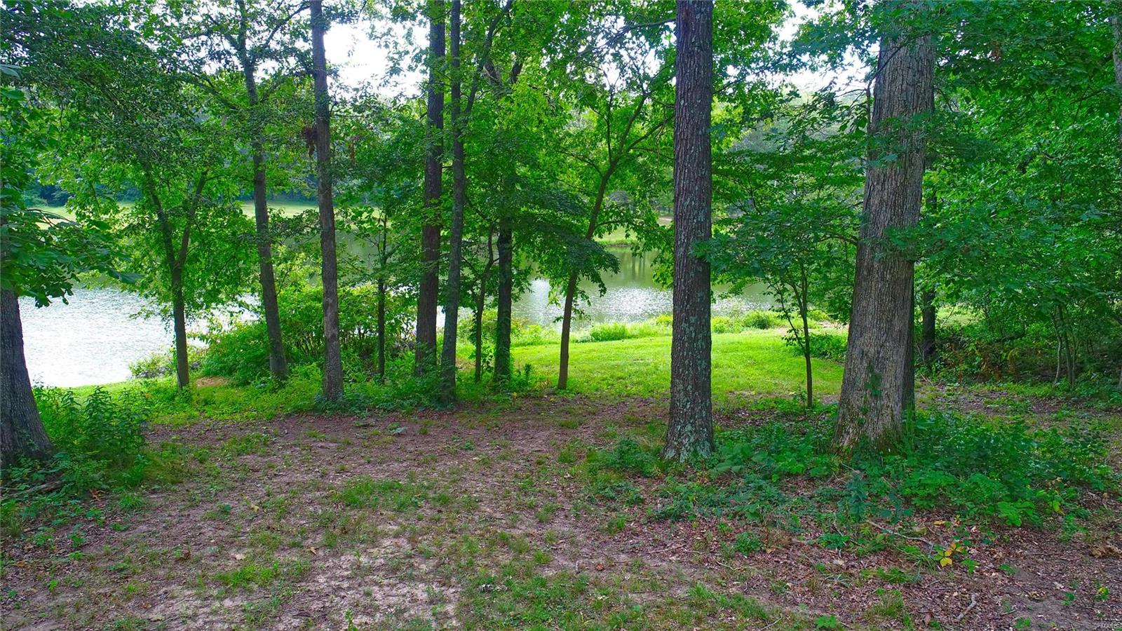 11738 Paulton Road Pittsburg, IL 62974 - Photo 48 of 53