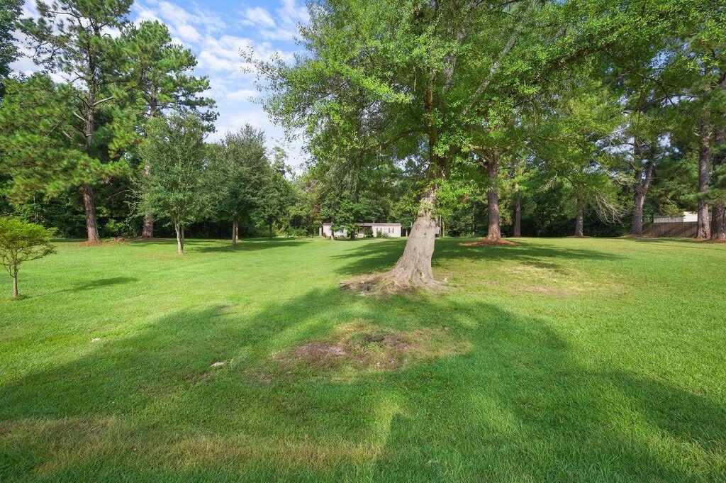 331 Arthur Cooley Road Deridder, LA 70634 - Photo 3 of 13