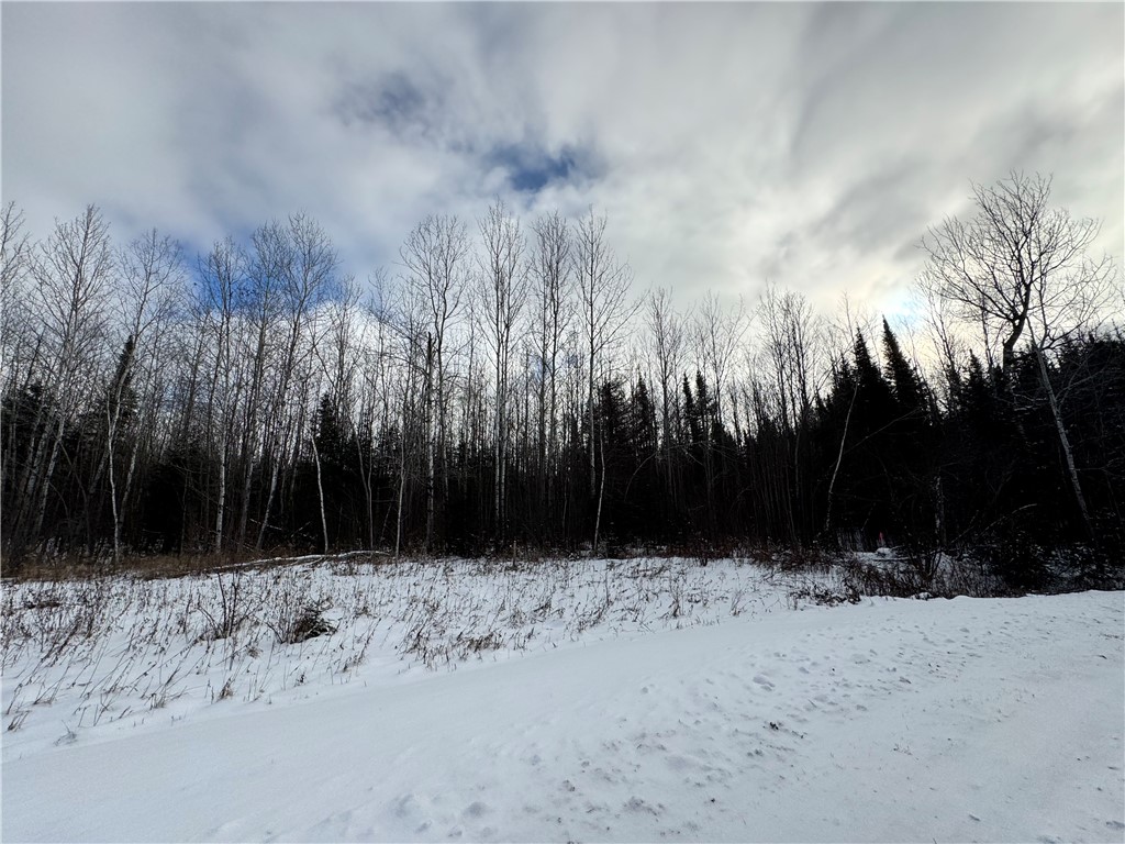 Lot 1 State Highway Winter, WI 54896 - Photo 5 of 7