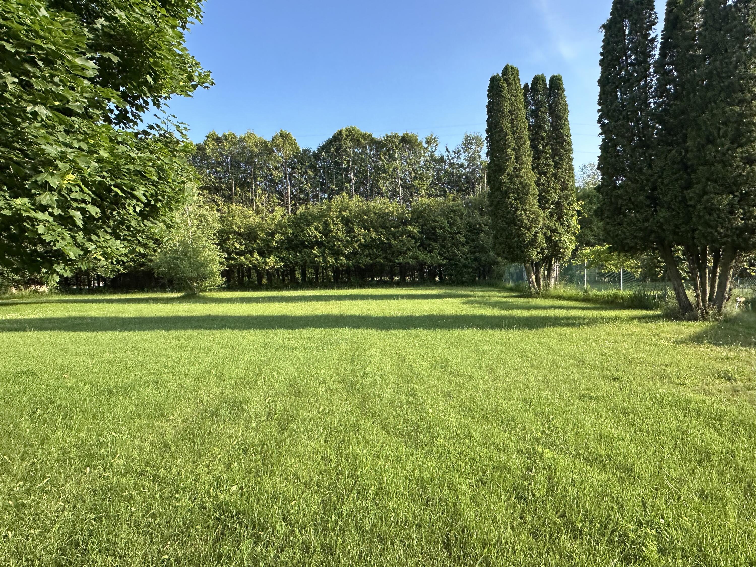 5372 Milarch Road Manistee, MI 49660 - Photo 2 of 40 Gorgeous front yard