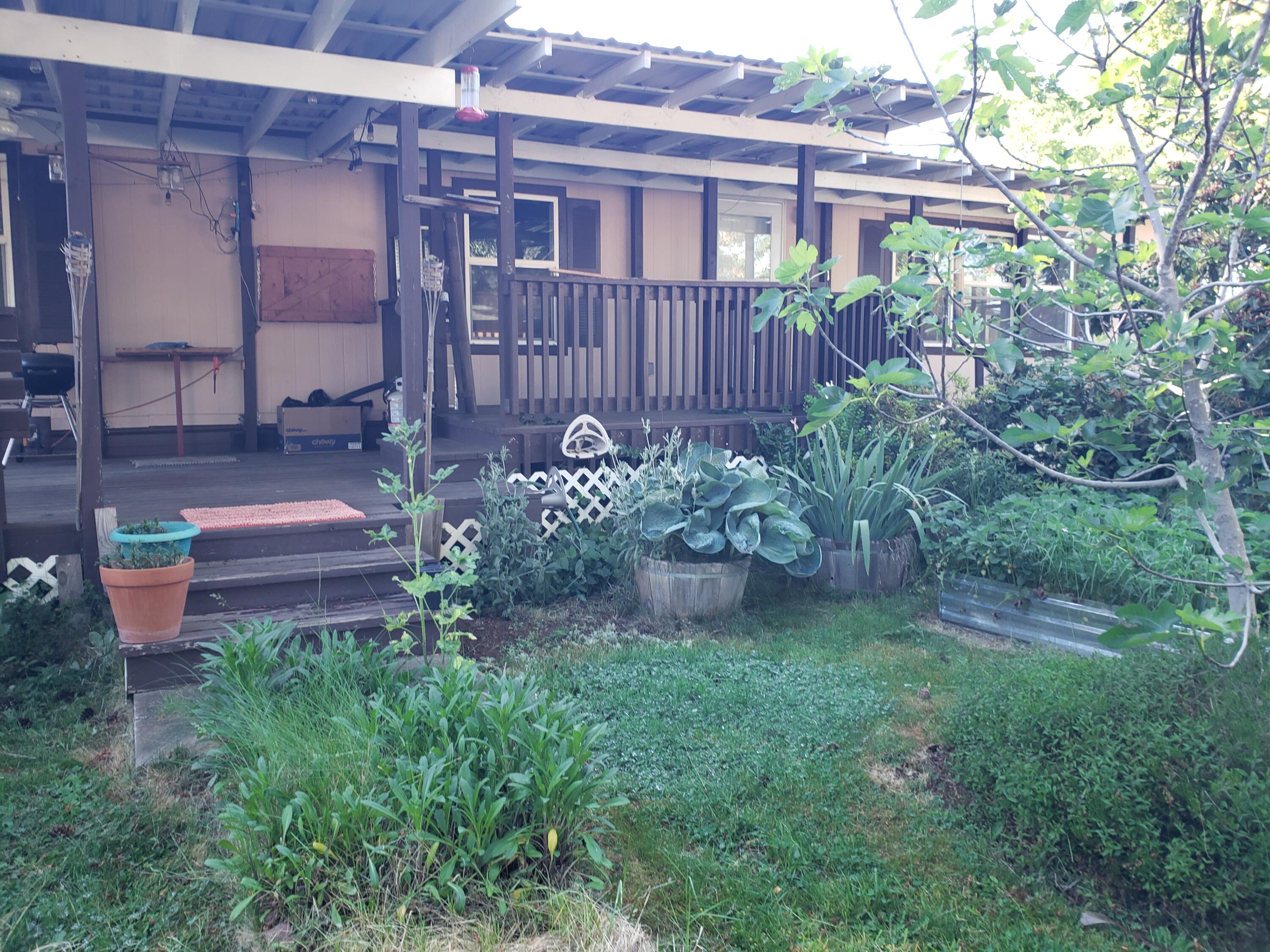 222 Ollis Road, Unit 31 Cave Junction, OR 97523 - Photo 1 of 25 Gallery Image 1