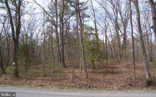 Lot B Wetipquin Road Tyaskin, MD 21865 - Photo 1 of 6 Gallery Image 1
