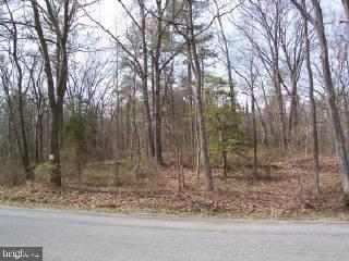Lot B Wetipquin Road Tyaskin, MD 21865 - Photo 3 of 6 Gallery Image 3