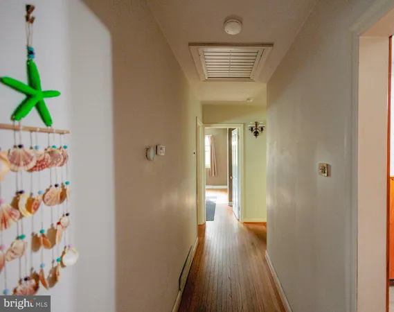 a view of a hallway with wooden floor and a potted plant