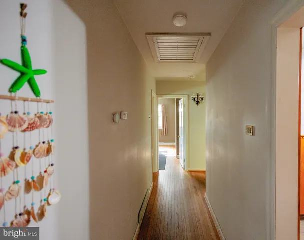 a view of a hallway with wooden floor and a potted plant