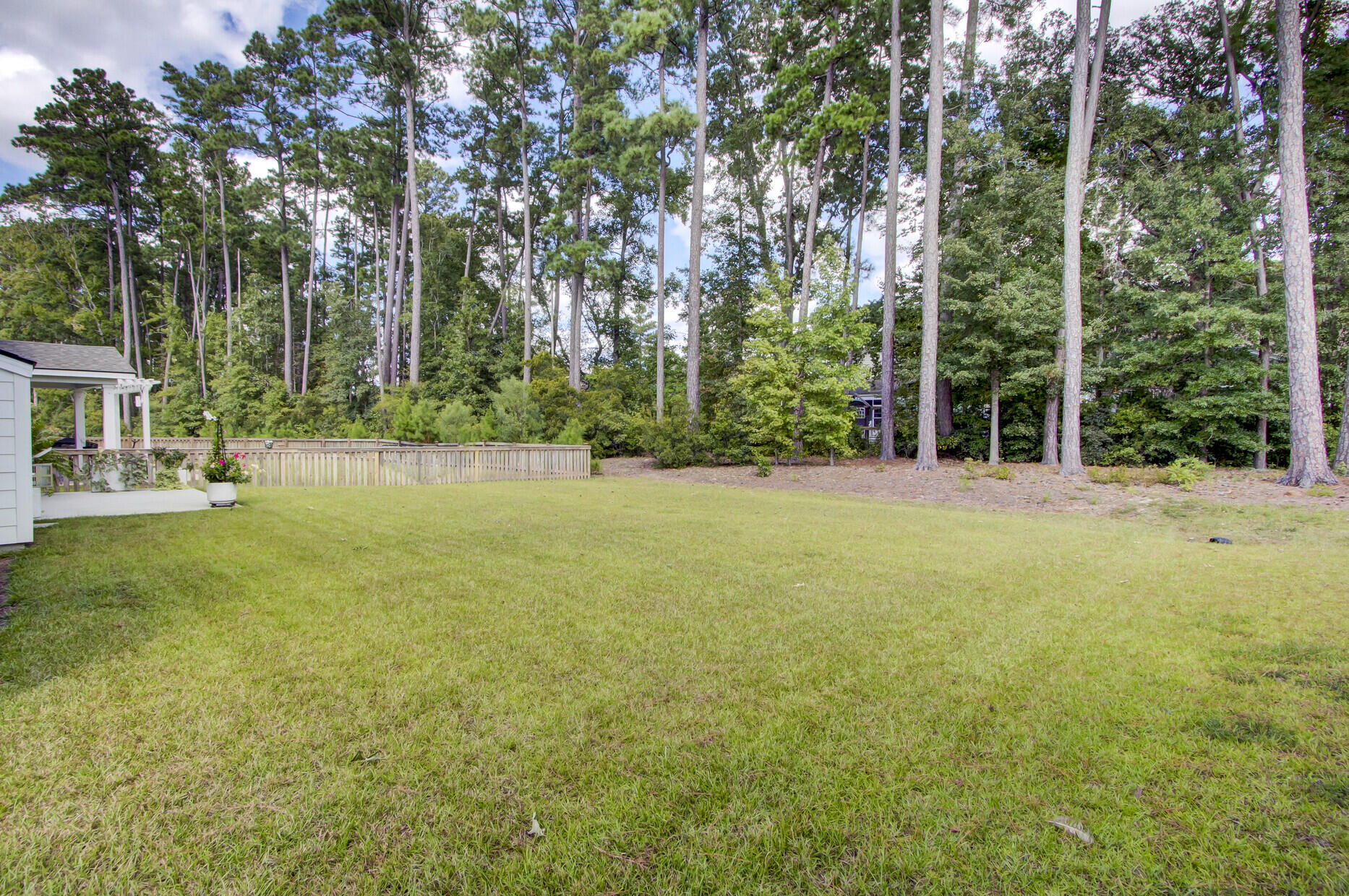 112 Whitetail Road Summerville, SC 29483 - Photo 37 of 48 Wooded Buffer at Back of Lot