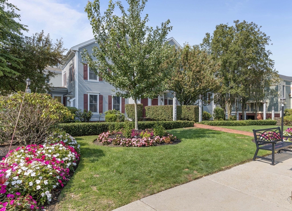 756 Washington Street, Unit A Canton, MA 02021 - Photo 14 of 20 a view of a house with a big yard and potted plants