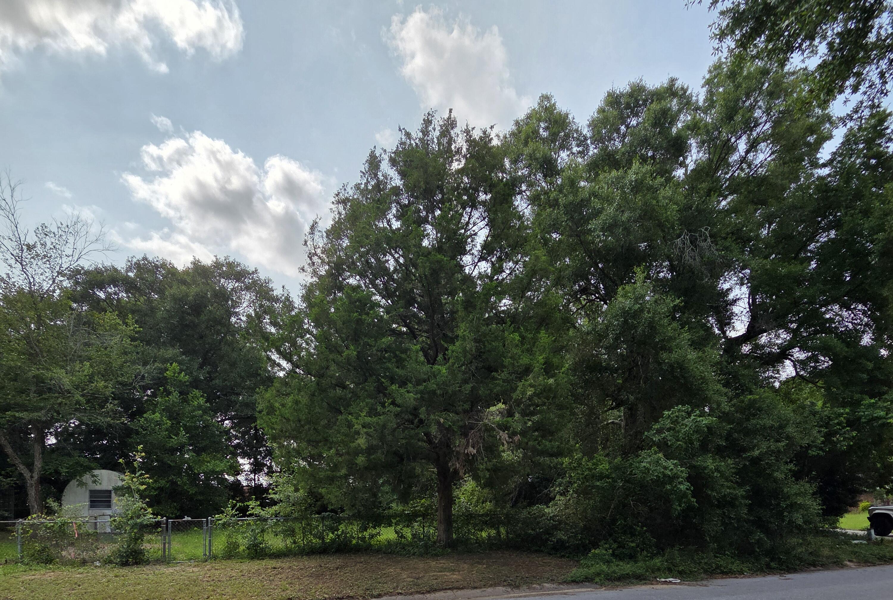 Xxx Keating Road Pensacola, FL 32504 - Photo 11 of 13 20260626_154320