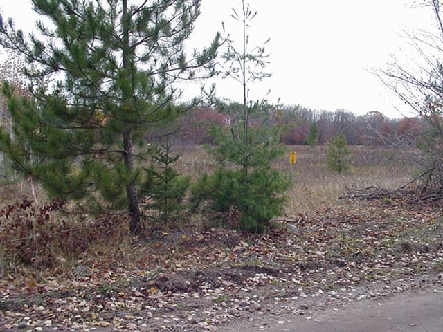 2 East 25 Mile Road Pickford, MI 49774 - Photo 2 of 5 Gallery Image 2