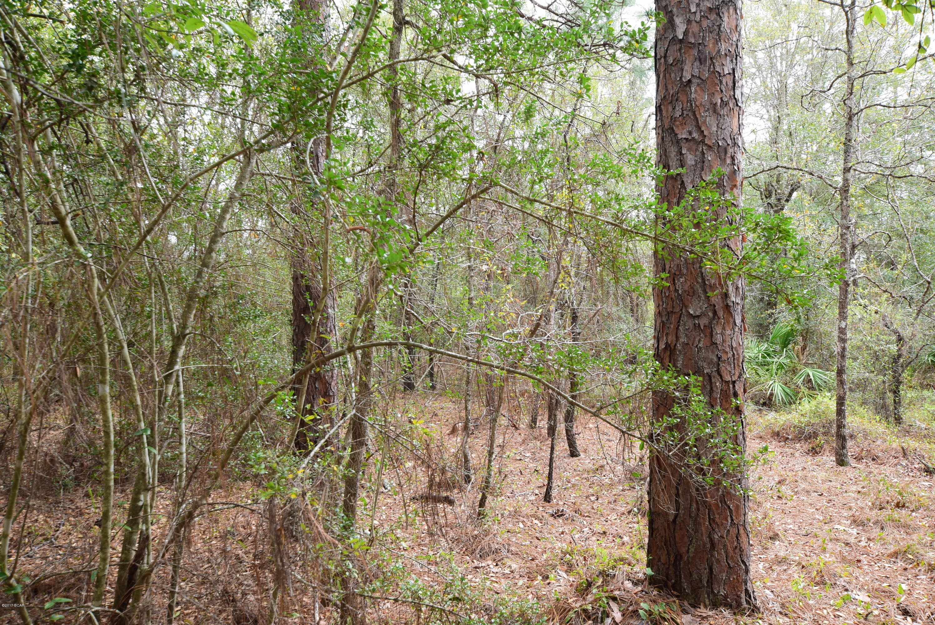 20938 Hightower Road Fountain, FL 32438 - Photo 13 of 29 Gallery Image 13