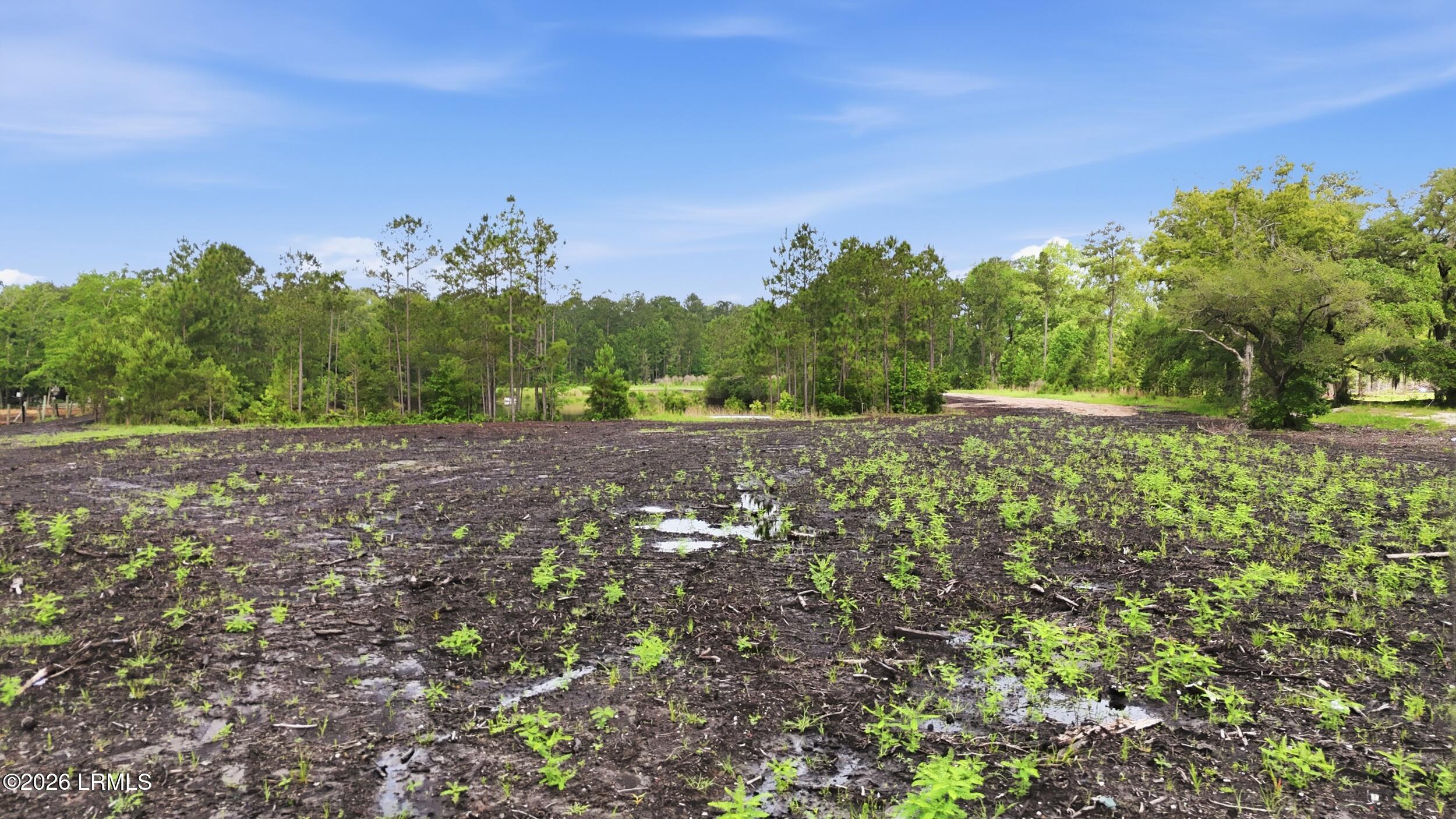 0 State Rd S-27-19 Ridgeland, SC 29936 - Photo 10 of 20 18_dji_20260529223219_0849_d