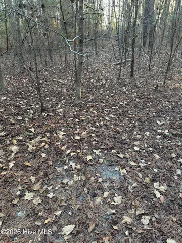 $22,000 | Tbd Paison Lane, Gibson, NC 28343
