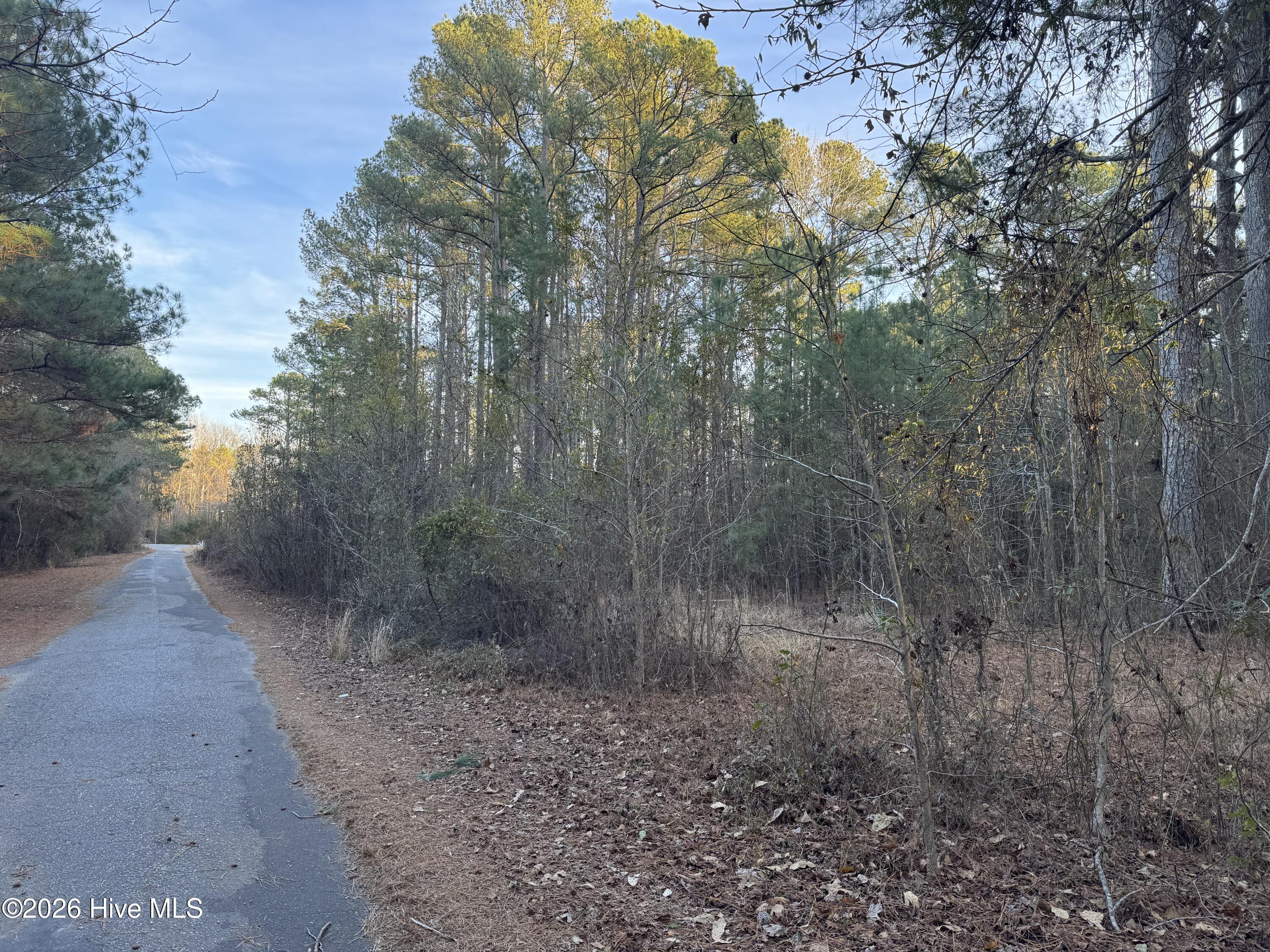 Tbd Paison Lane Gibson, NC 28343 - Photo 12 of 12 View Of Paved Road Front From Property