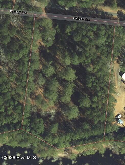Tbd Paison Lane Gibson, NC 28343 - Photo 2 of 12 Aerial View #2
