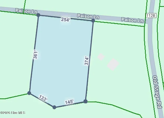 $22,000 | Tbd Paison Lane, Gibson, NC 28343