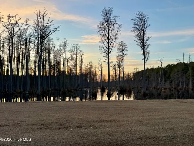 $22,000 | Tbd Paison Lane, Gibson, NC 28343