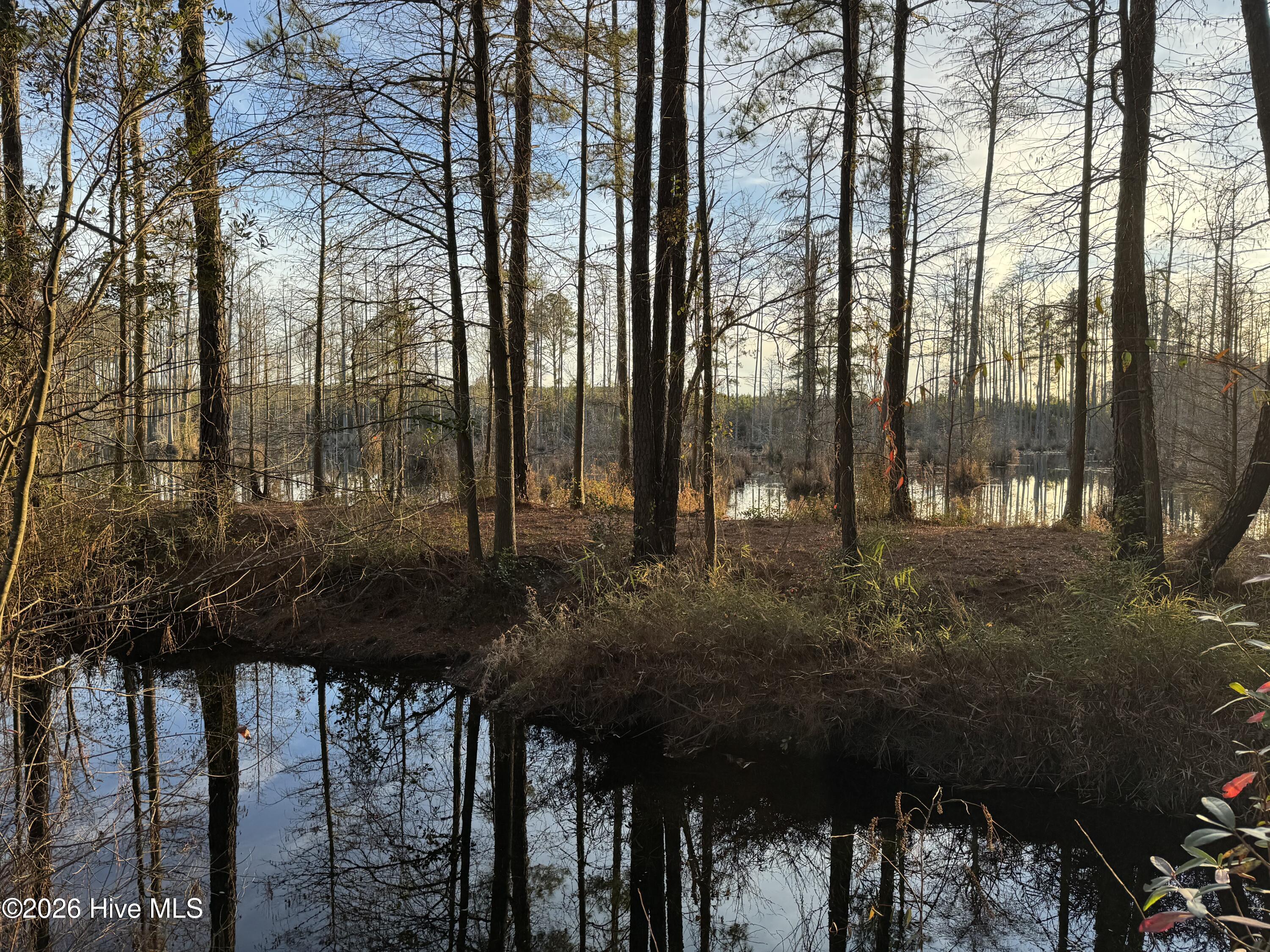 Tbd Paison Lane Gibson, NC 28343 - Photo 6 of 12 View of Pond From Back Of Property