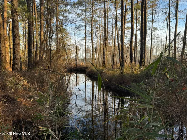 $22,000 | Tbd Paison Lane, Gibson, NC 28343