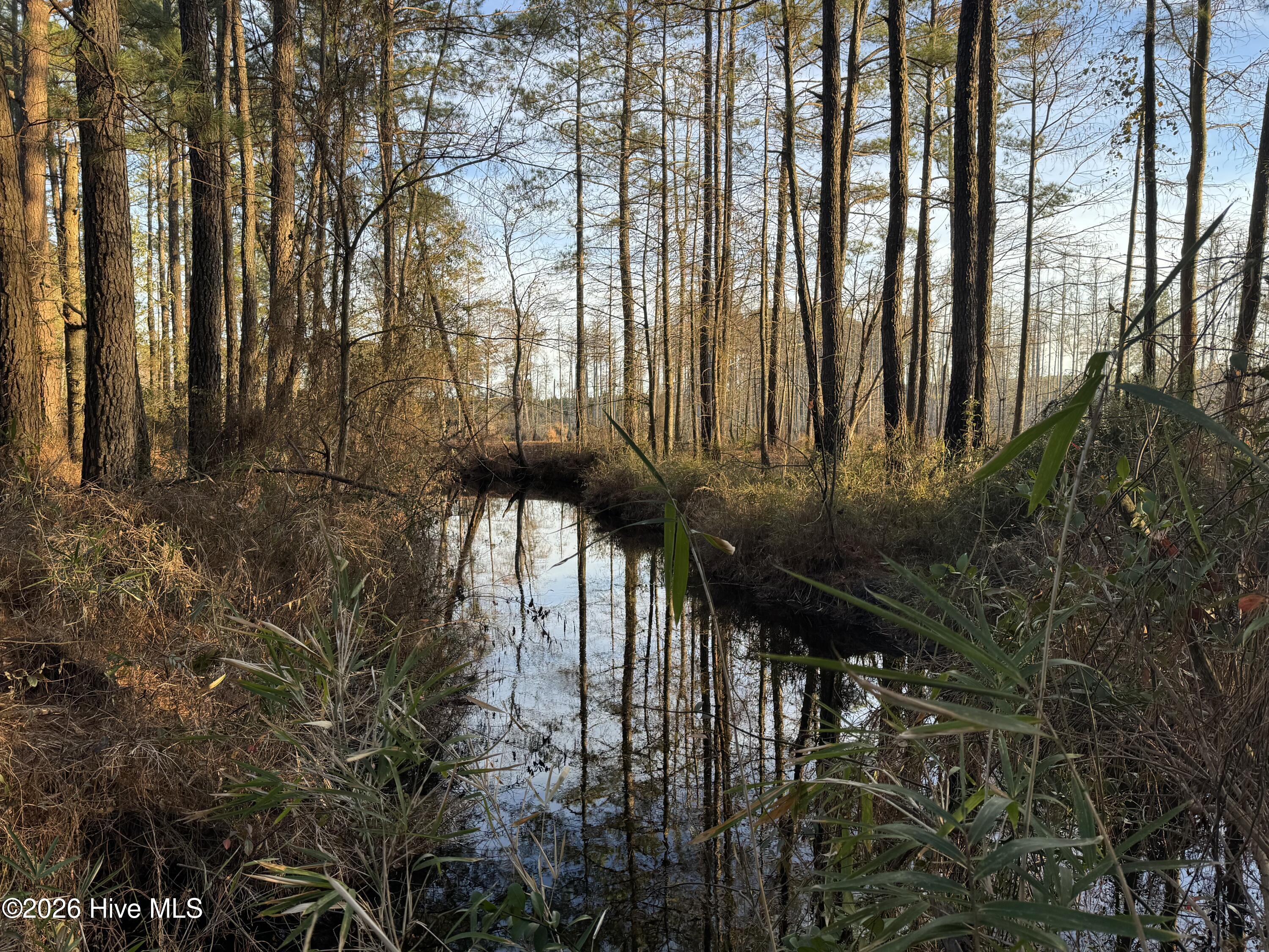 Tbd Paison Lane Gibson, NC 28343 - Photo 7 of 12 Stream On Back Of Property