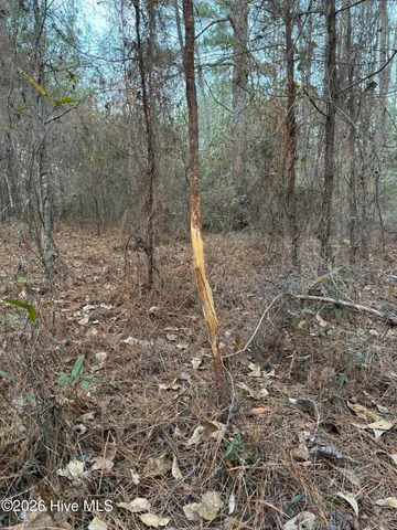 $22,000 | Tbd Paison Lane, Gibson, NC 28343