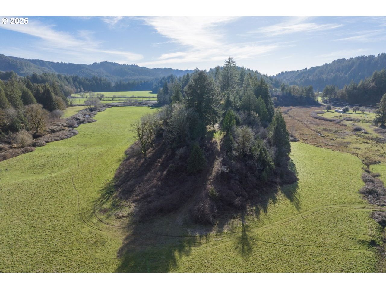 89009 Condon Creek Road Florence, OR 97439 - Photo 44 of 48