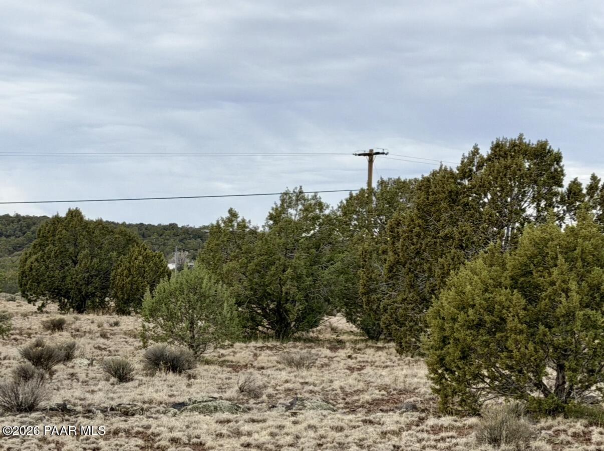1224 West Ridgeview Drive Williams, AZ 86046 - Photo 7 of 8 IMG_1577