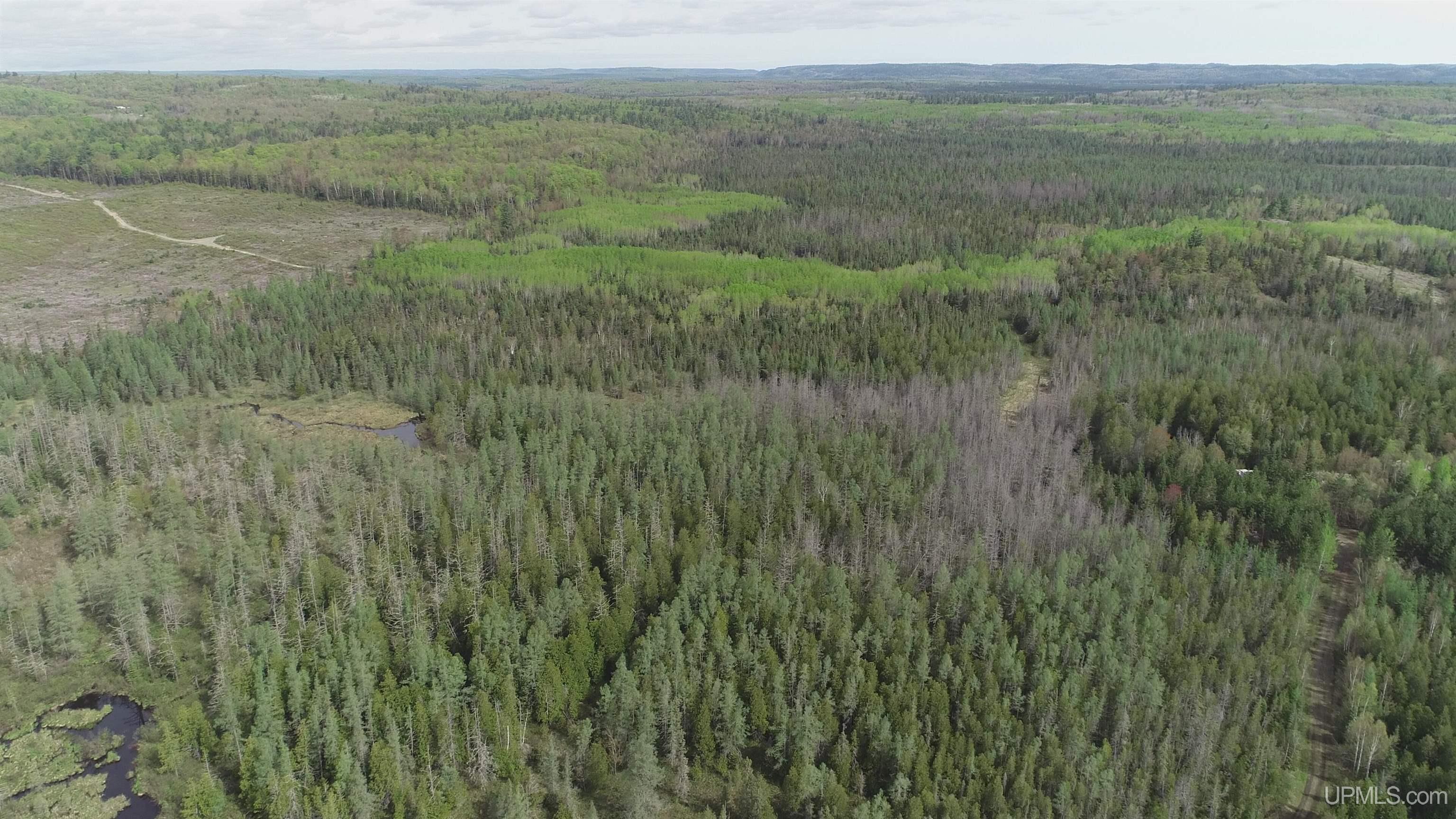 280-acres County Road CCN Road Negaunee, MI 49866 - Photo 23 of 48