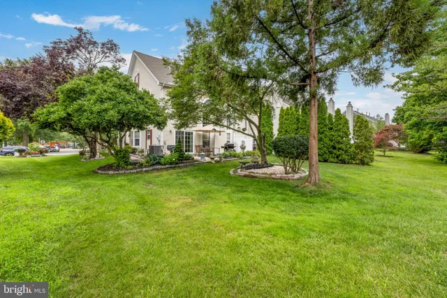 a view of a park with large trees