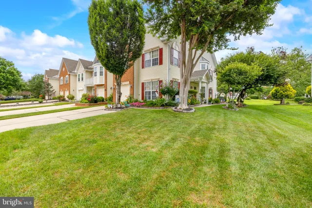 a view of a large trees with a big yard and large trees