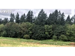 23410 Rocky Point Road North Plains, OR 97133 - Photo 1 of 5 Gallery Image 1