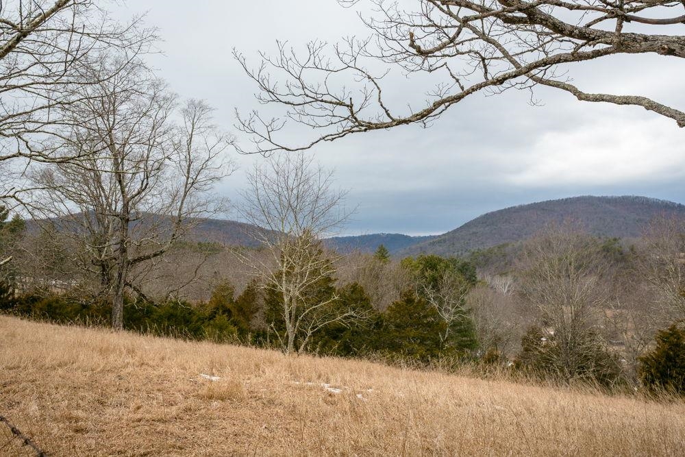 19962 Rainbow Ridge Road Bergton, VA 22811 - Photo 5 of 57 Views NW from Lot 40