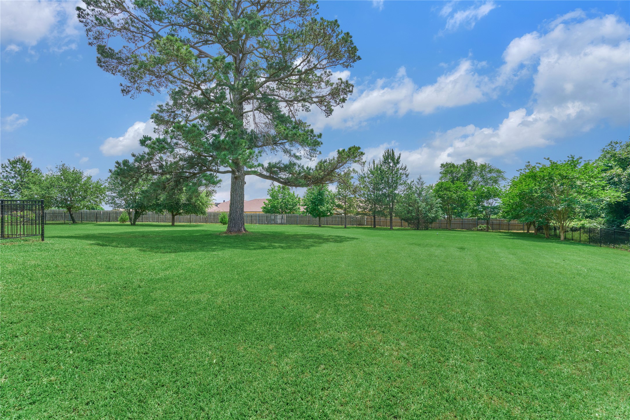 19089 Grandview Point Montgomery, TX 77356 - Photo 45 of 48 a view of grassy field with benches