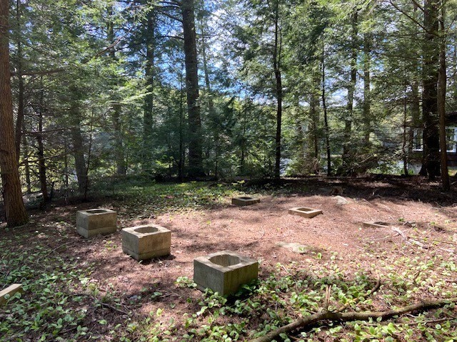 0 Bray Road Williamsburg, MA 01096 - Photo 3 of 8 a view of a backyard with trees and plants