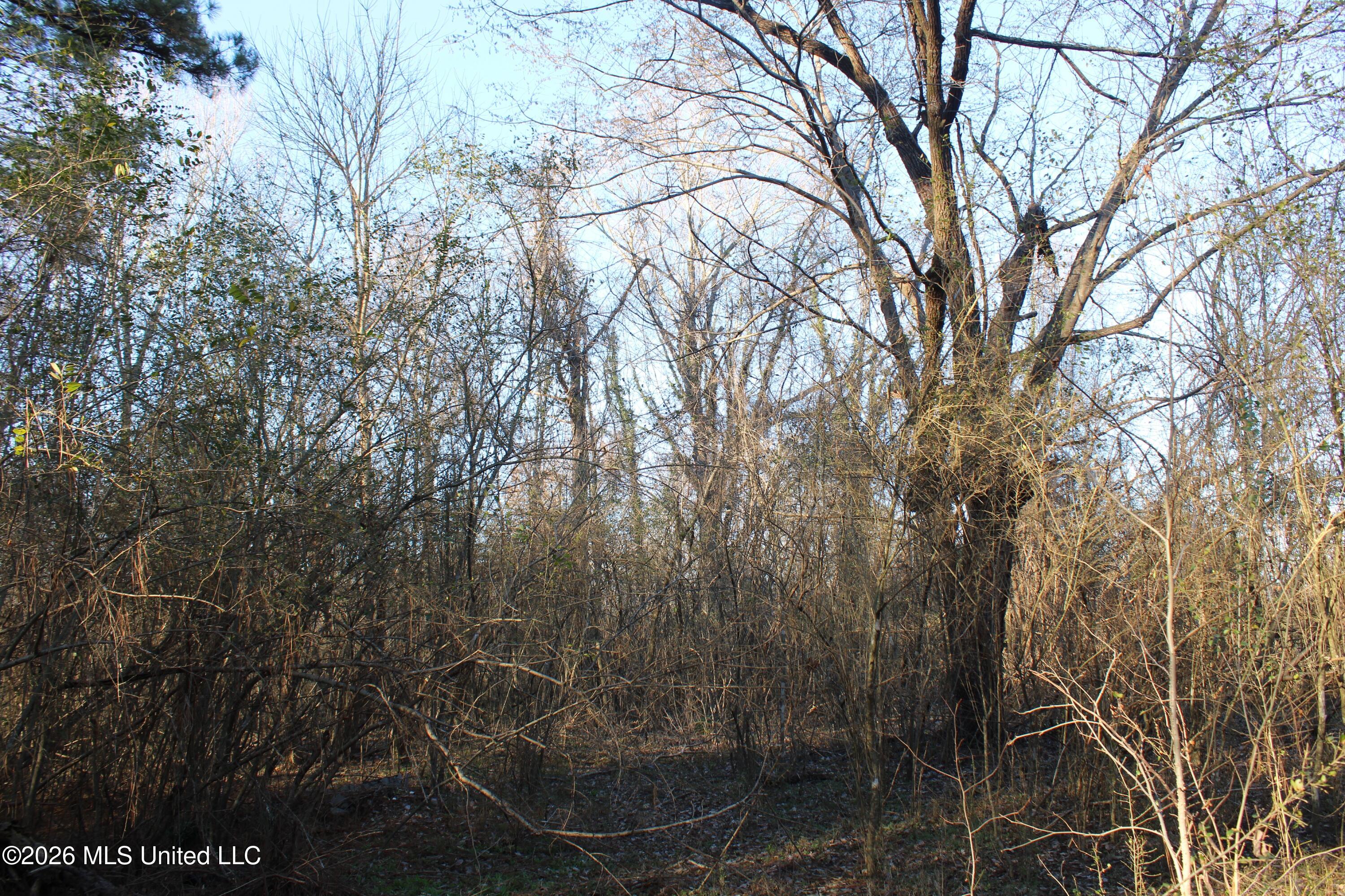 3641 Miller Road Olive Branch, MS 38654 - Photo 11 of 18 IMG_7422