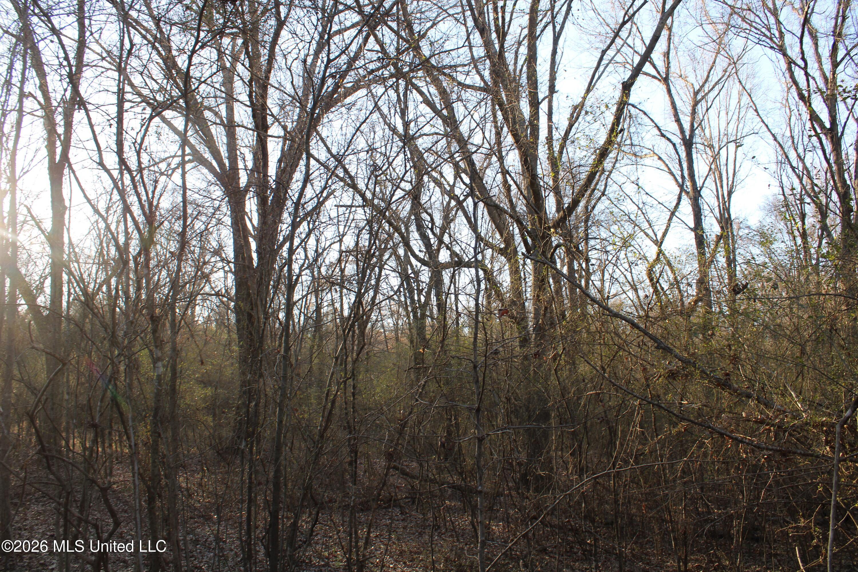 3641 Miller Road Olive Branch, MS 38654 - Photo 12 of 18 IMG_7424