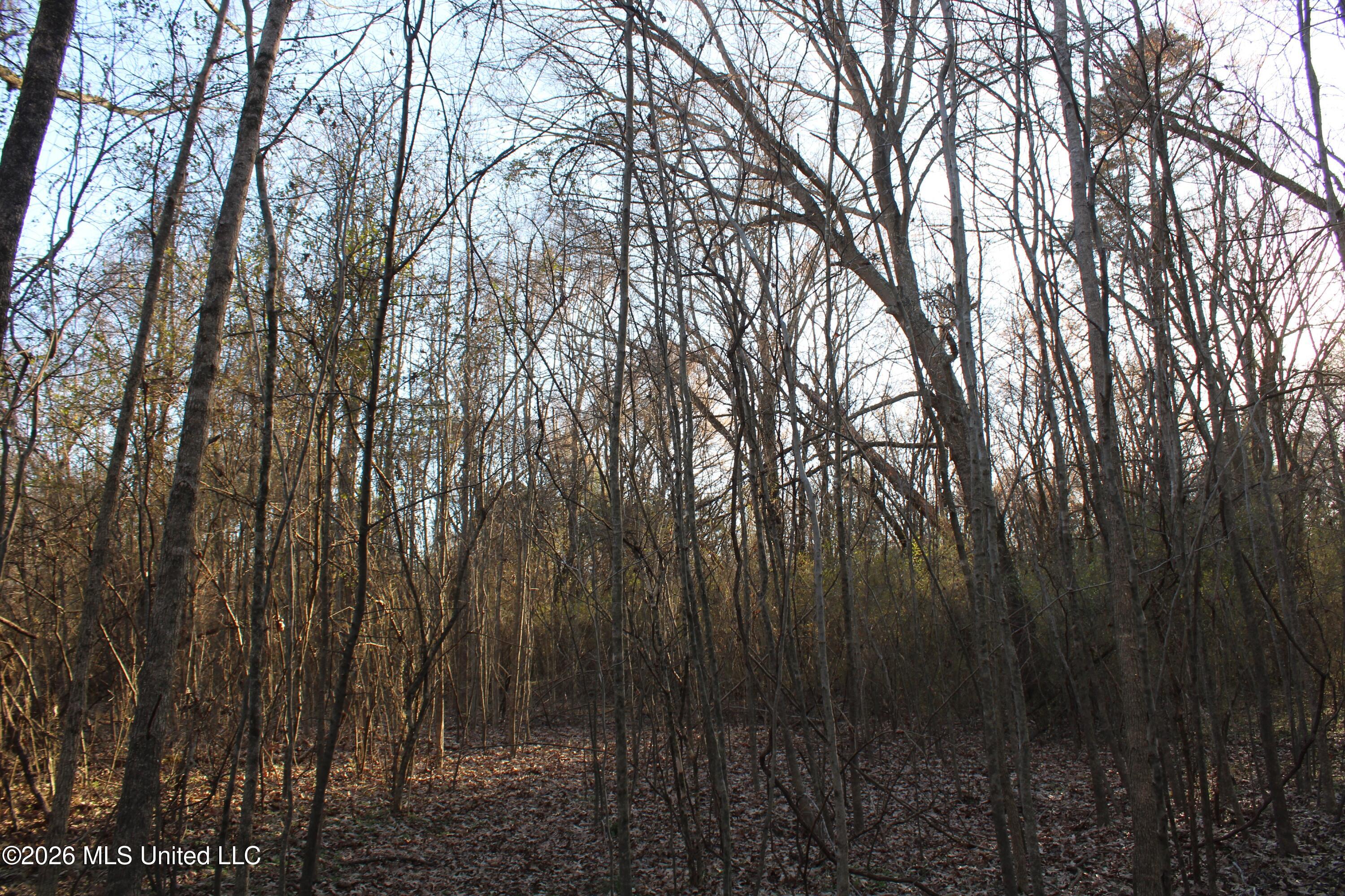 3641 Miller Road Olive Branch, MS 38654 - Photo 13 of 18 IMG_7425