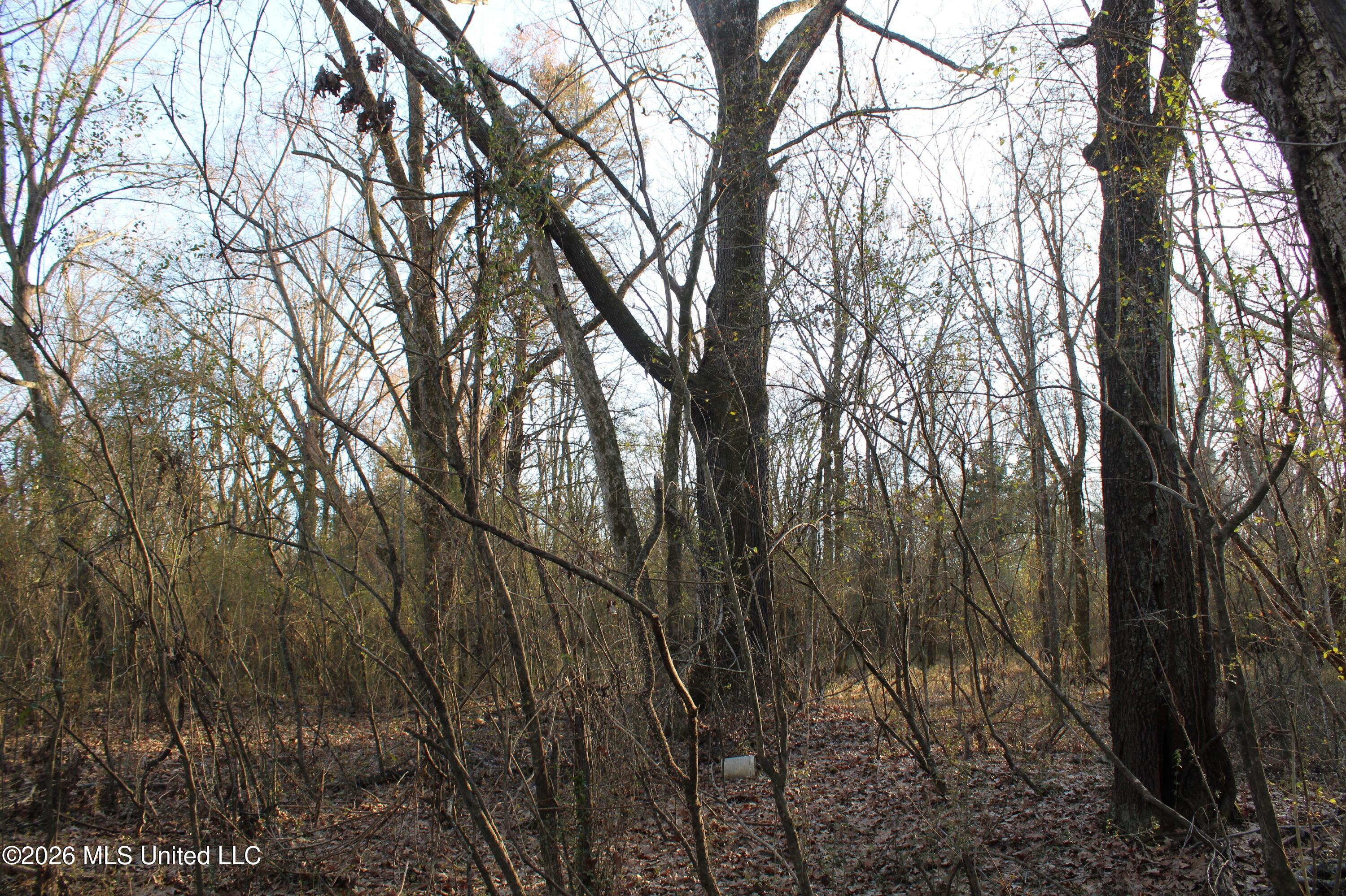 3641 Miller Road Olive Branch, MS 38654 - Photo 15 of 18 IMG_7429