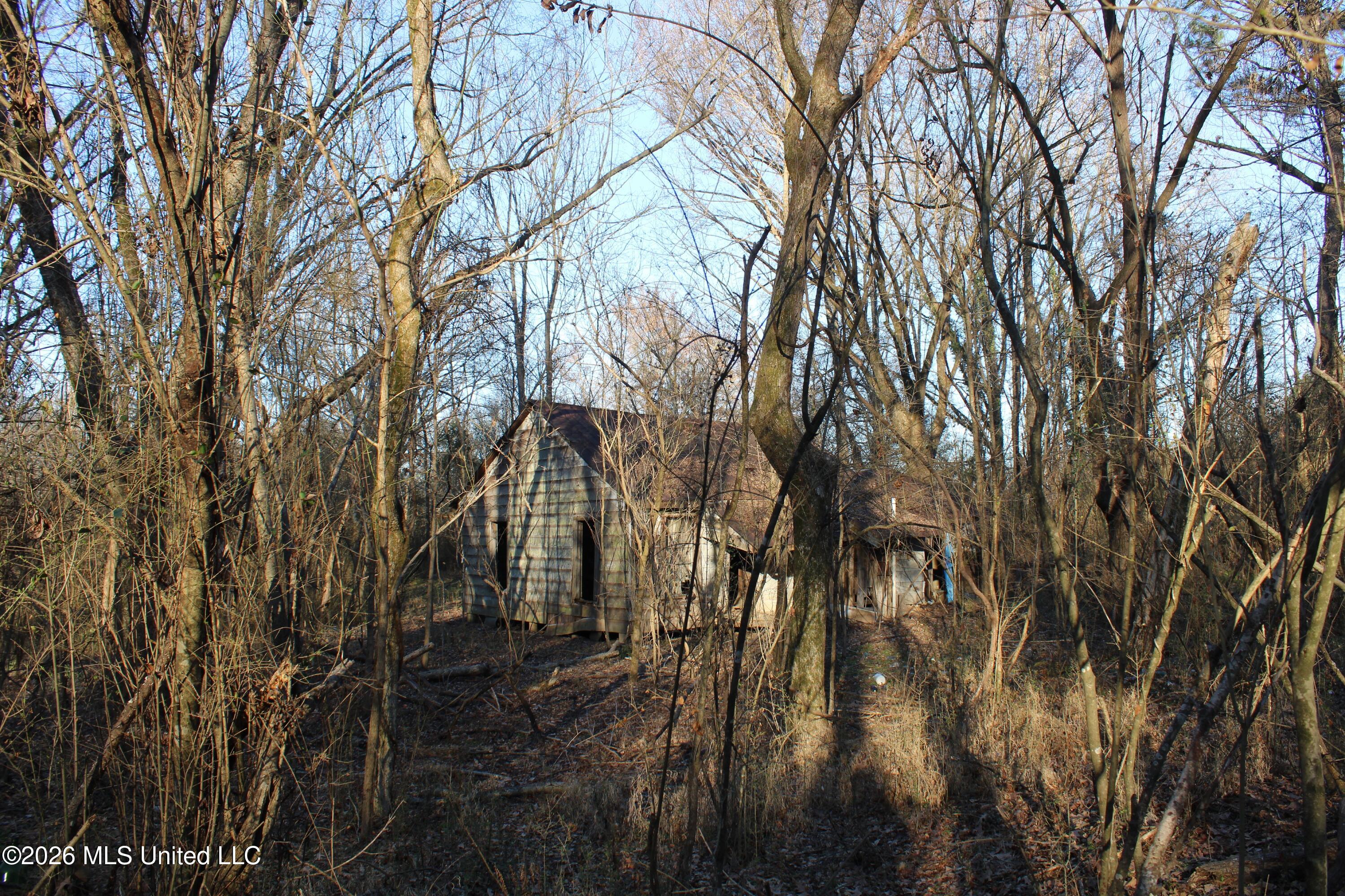 3641 Miller Road Olive Branch, MS 38654 - Photo 17 of 18 IMG_7431