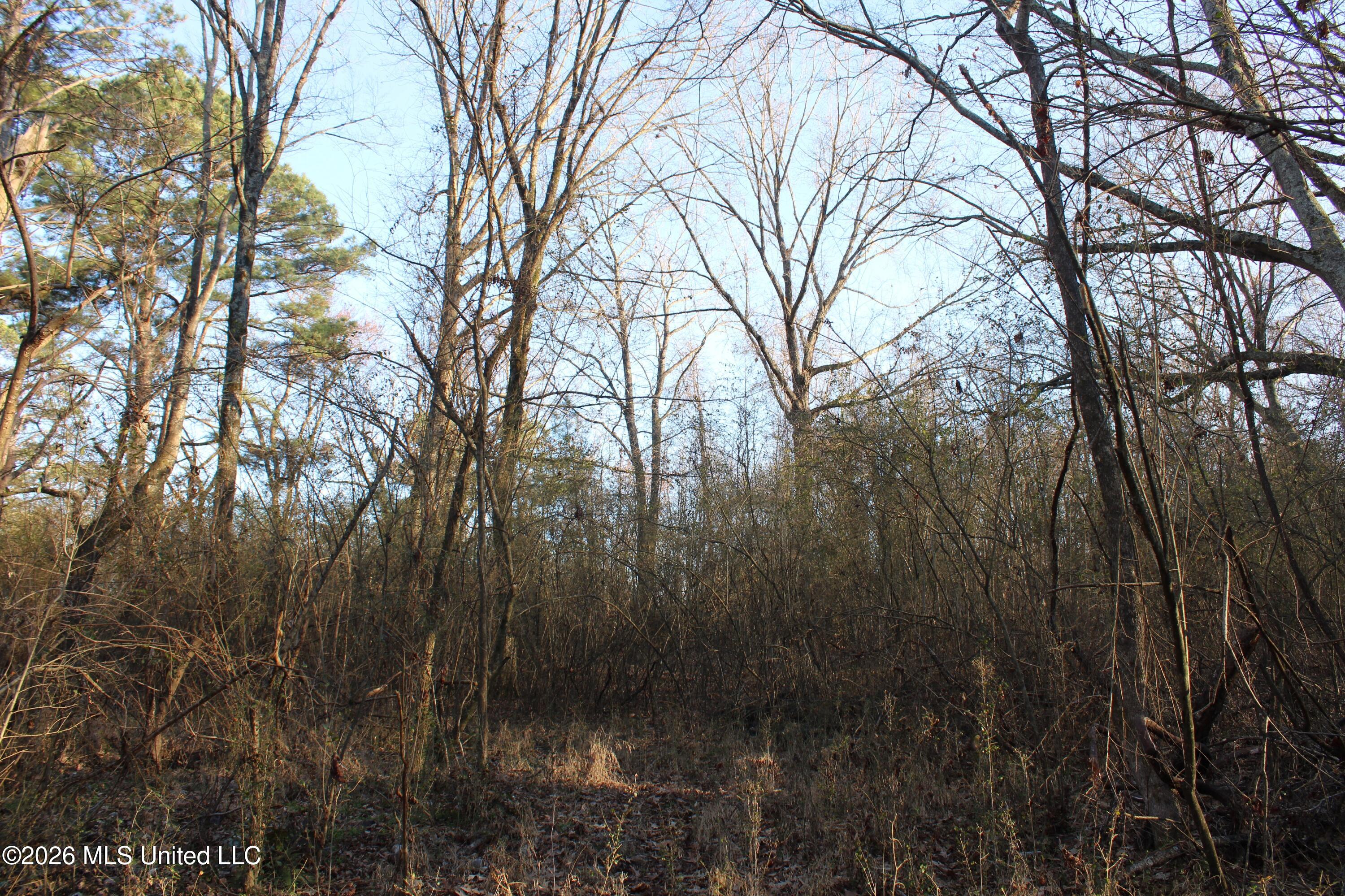 3641 Miller Road Olive Branch, MS 38654 - Photo 18 of 18 IMG_7432