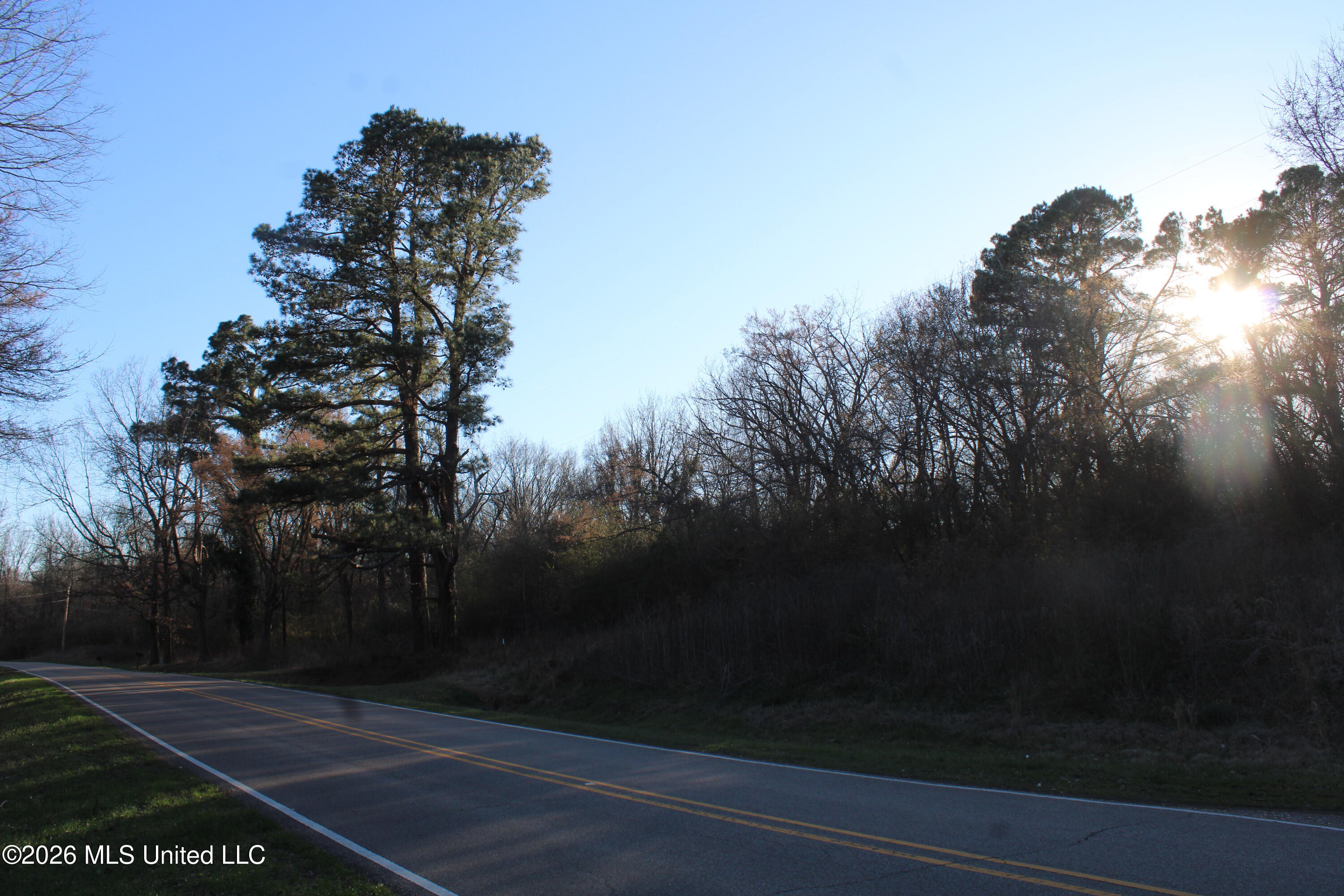3641 Miller Road Olive Branch, MS 38654 - Photo 2 of 18 IMG_7415