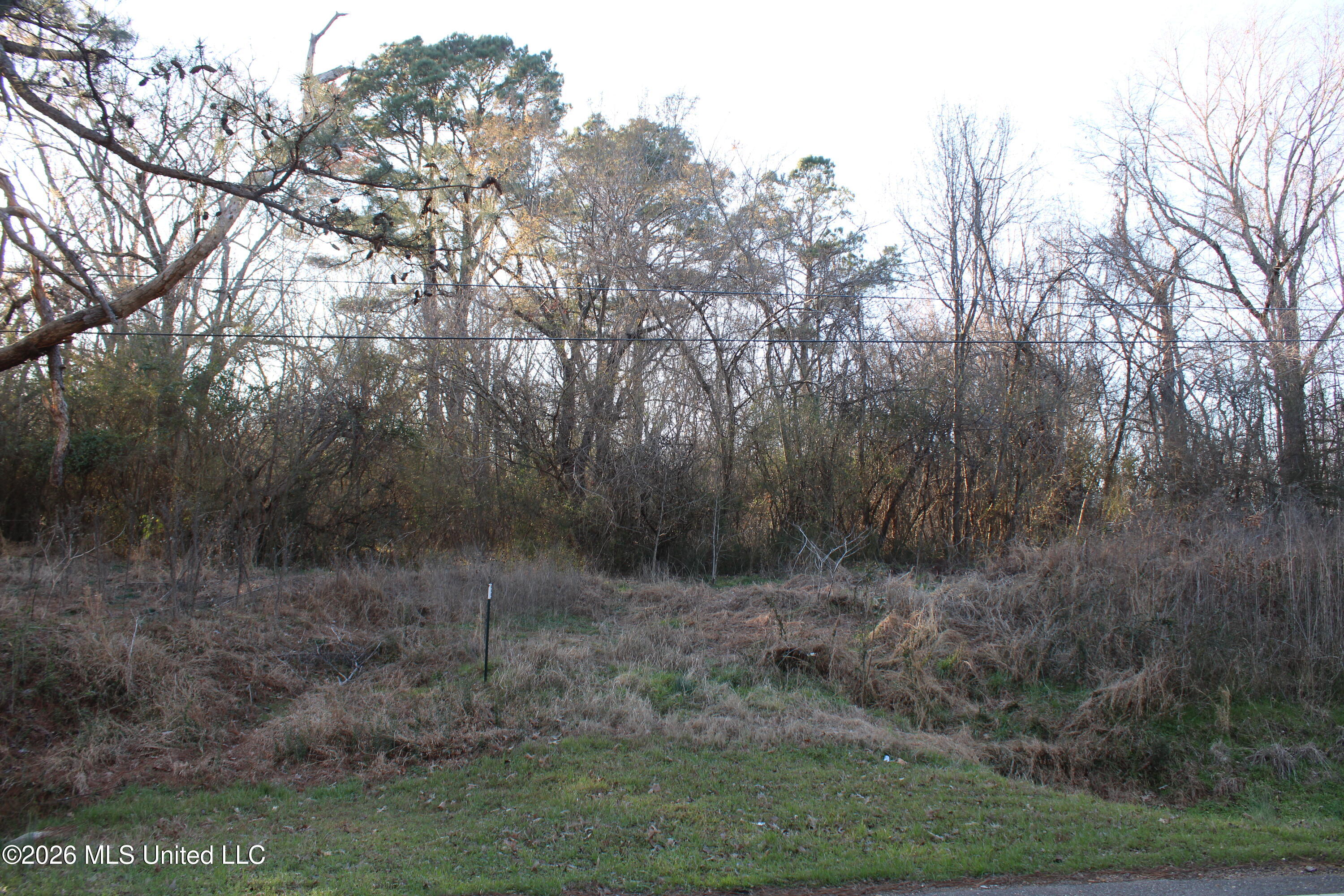 3641 Miller Road Olive Branch, MS 38654 - Photo 3 of 18 IMG_7416