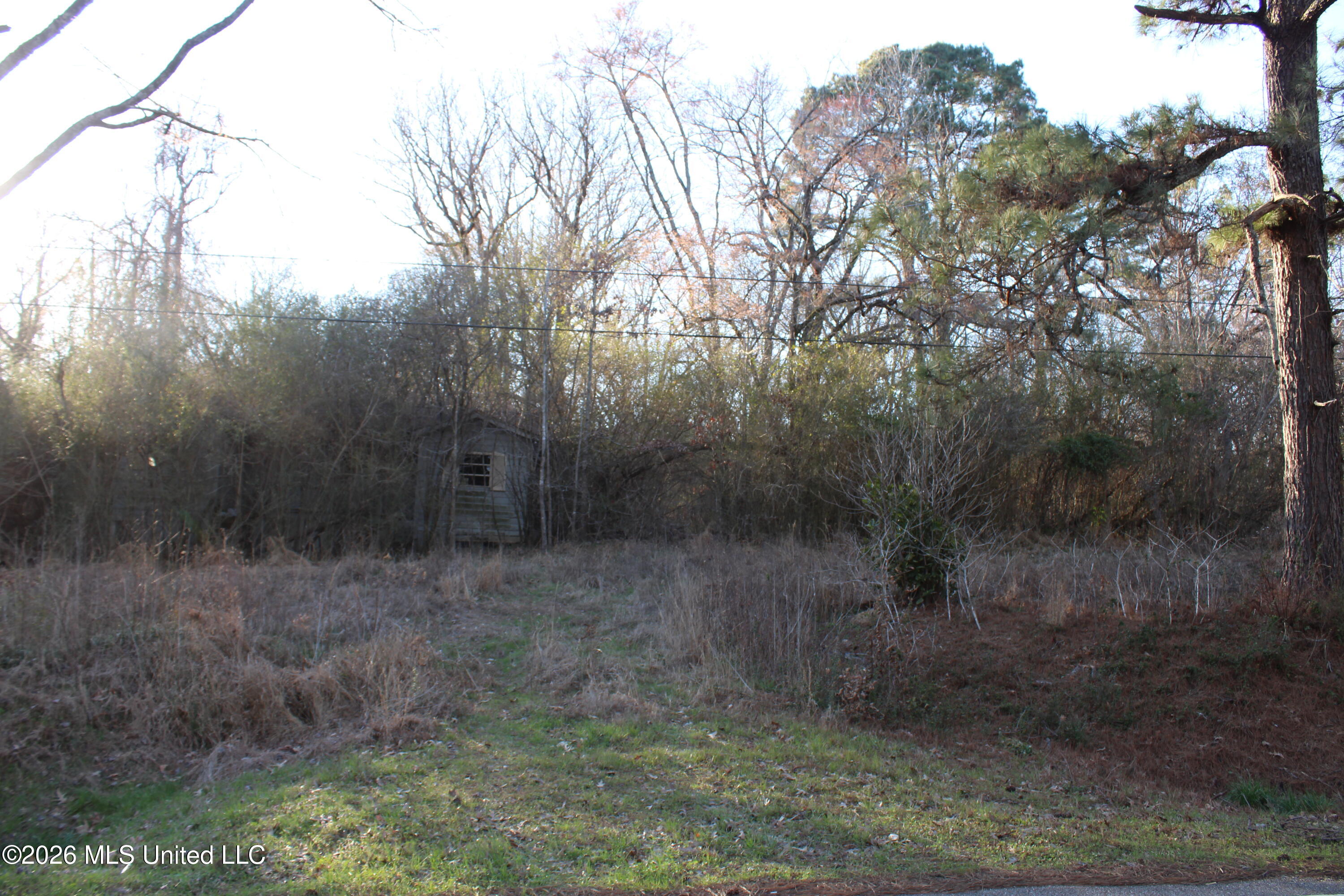 3641 Miller Road Olive Branch, MS 38654 - Photo 4 of 18 IMG_7417