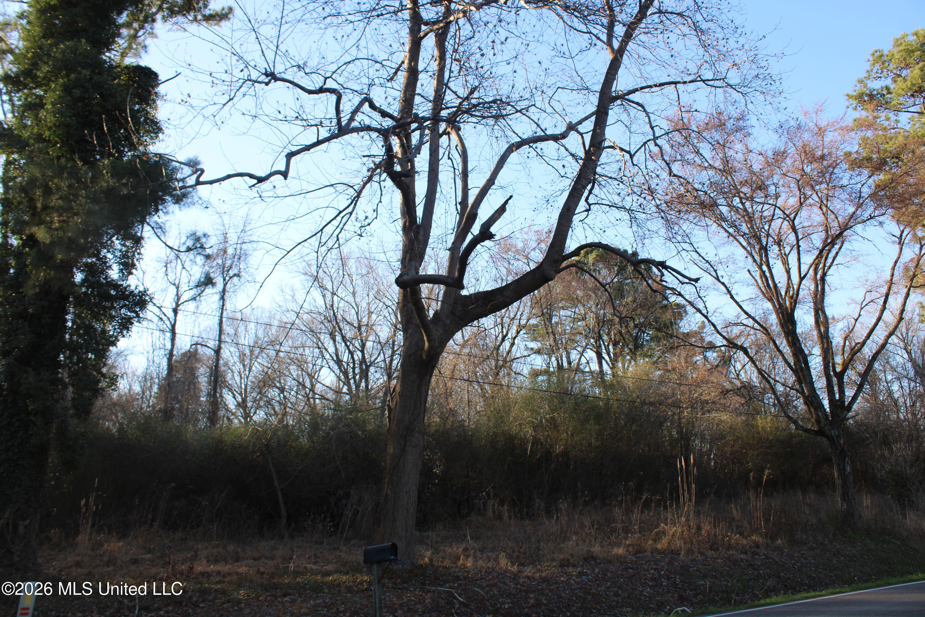 3641 Miller Road Olive Branch, MS 38654 - Photo 6 of 18 IMG_7419