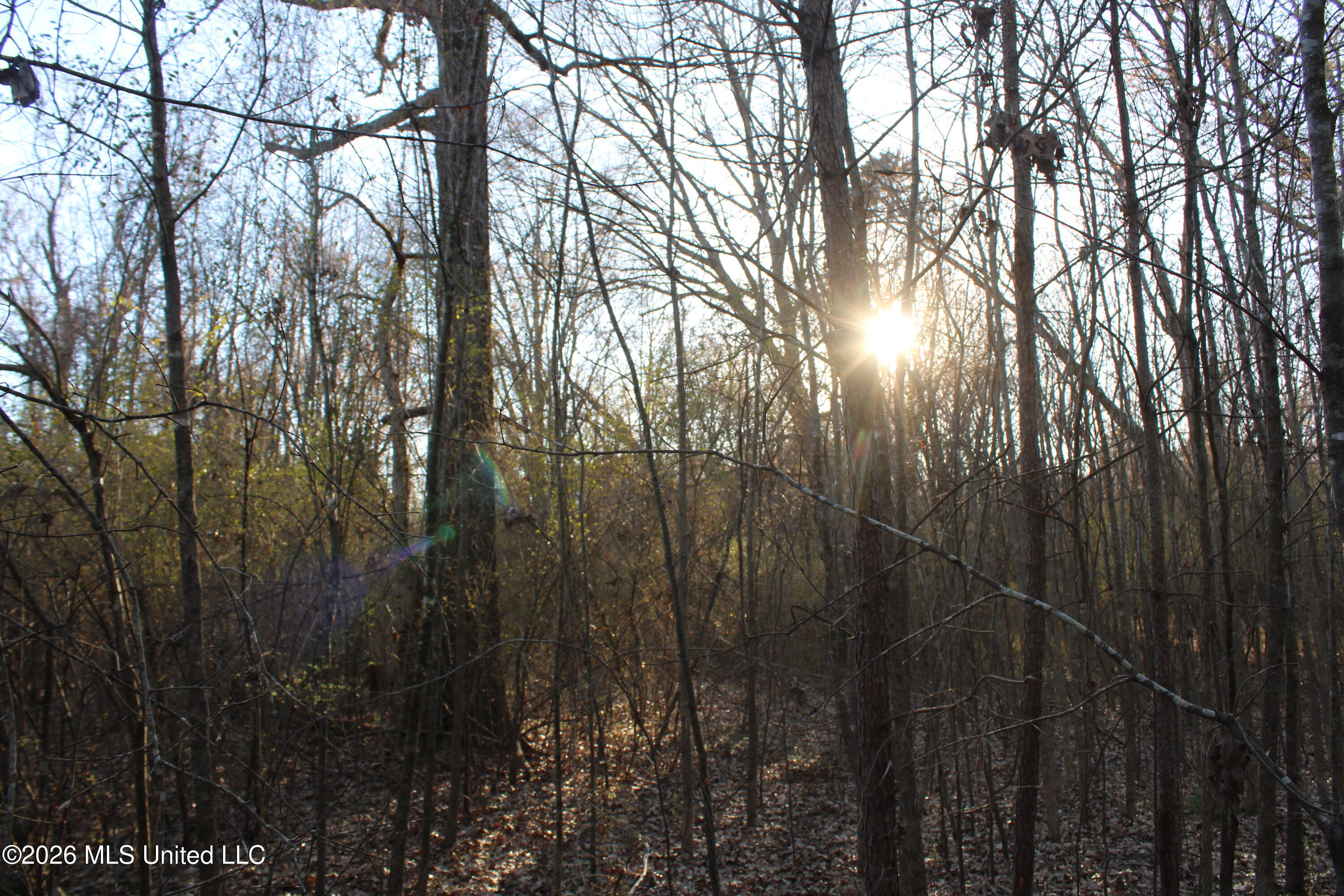 3641 Miller Road Olive Branch, MS 38654 - Photo 7 of 18 IMG_7423
