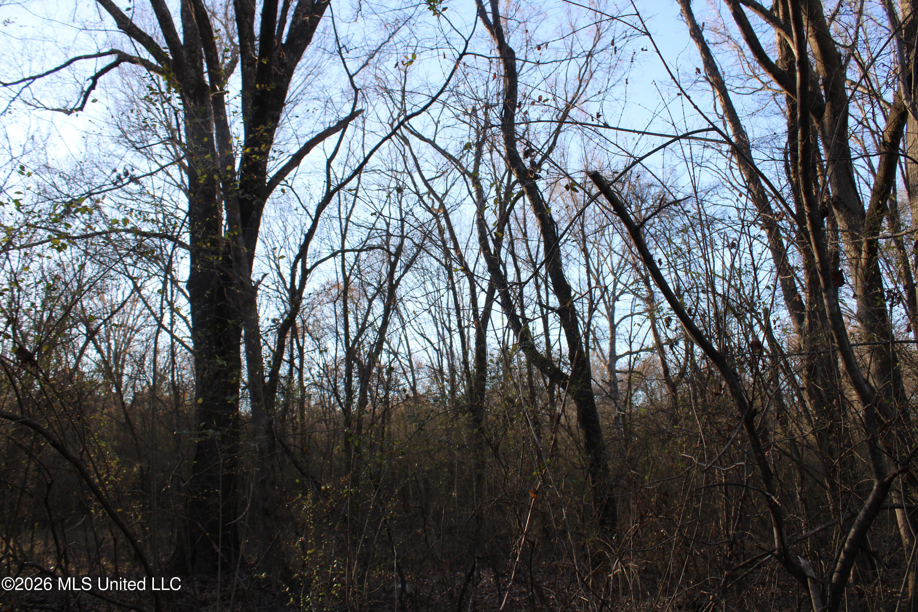 3641 Miller Road Olive Branch, MS 38654 - Photo 8 of 18 IMG_7426